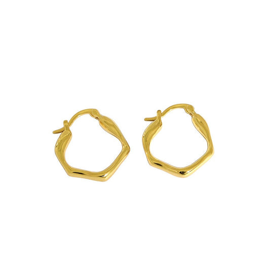 Fashion Irregular Geometry 925 Sterling Silver Hoop Earrings